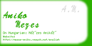 aniko mezes business card